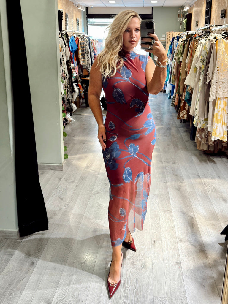 Plum and Blue Mesh Dress